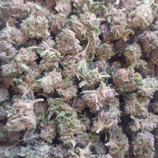 Small Bud CBD Peï Bio