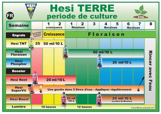 Hesi Pack