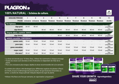 Top Grow Box Plagron 100% natural