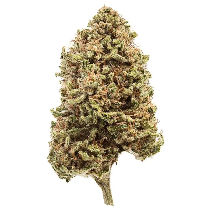 Strawberry CBD peï indoor