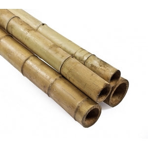 Tuteur bambou 120 cm