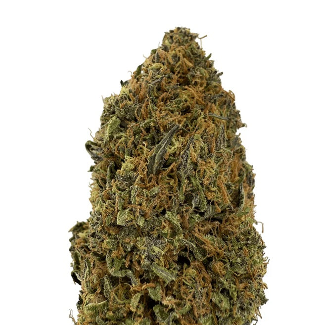 Fleur CBD Yak Pudding (extérieure)