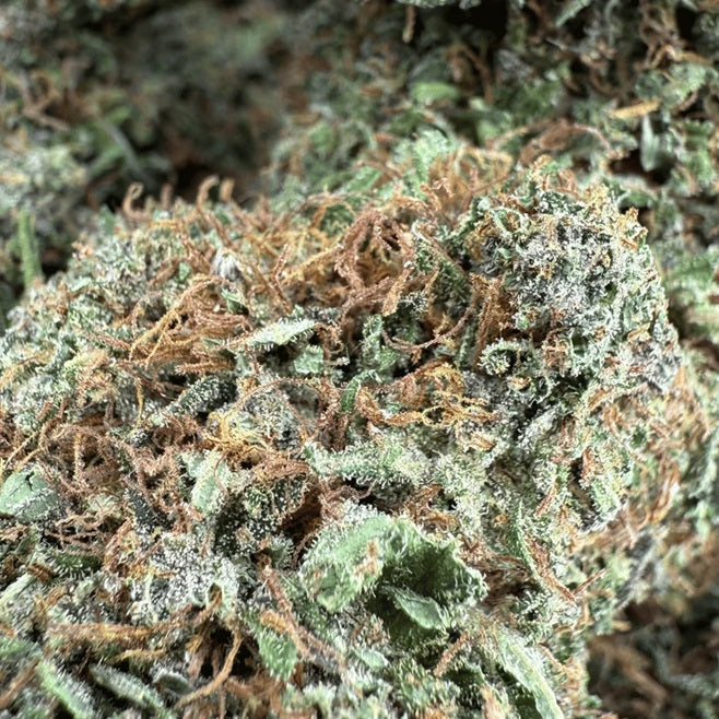 Fleur CBD Yak Pudding (extérieure)